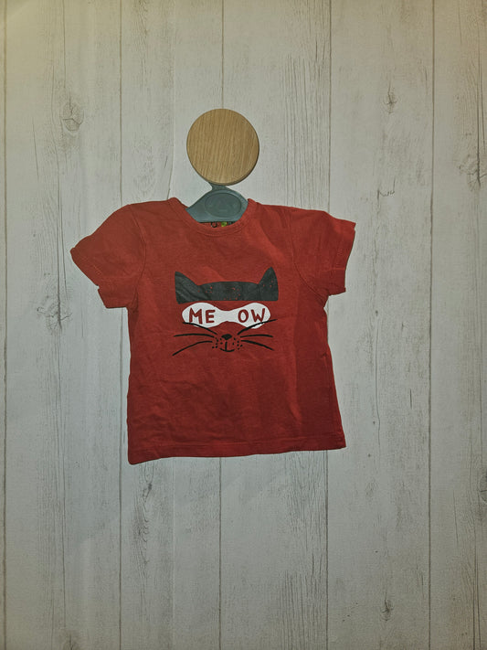 Orchestra- tee-shirt taille 9 mois