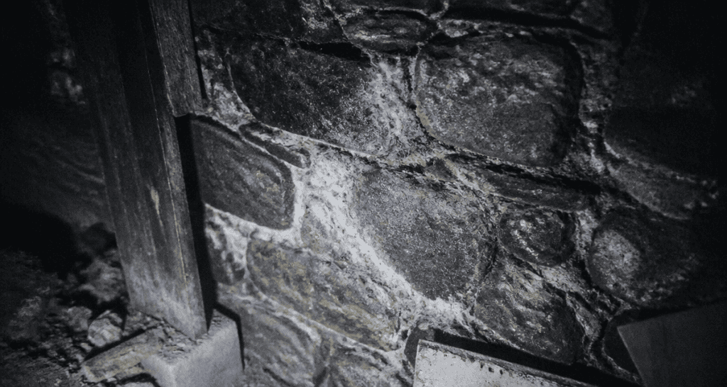 merule pierre sur mur granit