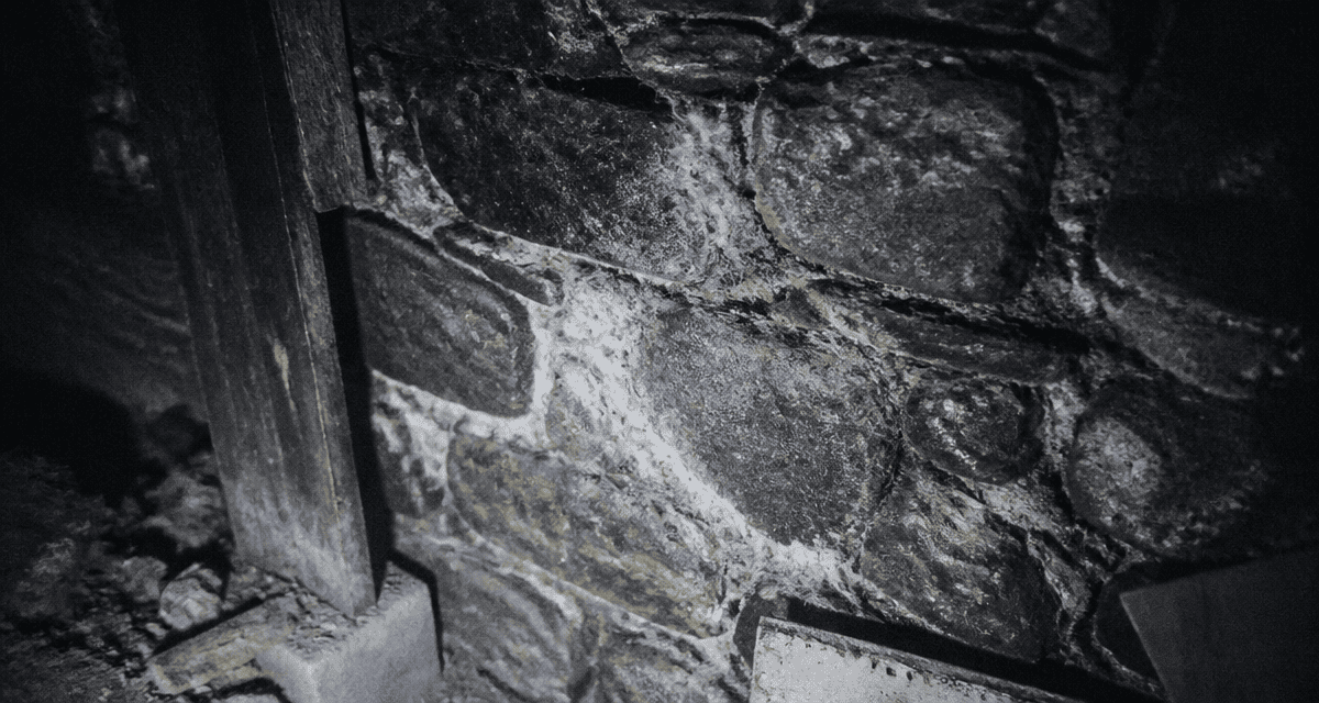 merule pierre sur mur granit