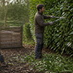 quand tailler laurier haie jardinier