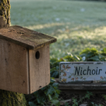 Installer un nichoir : que dit la loi ? Nichoir en bois au jardin