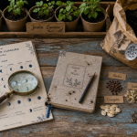 Jardiner avec la lune : calendrier lunaire et graines au jardin