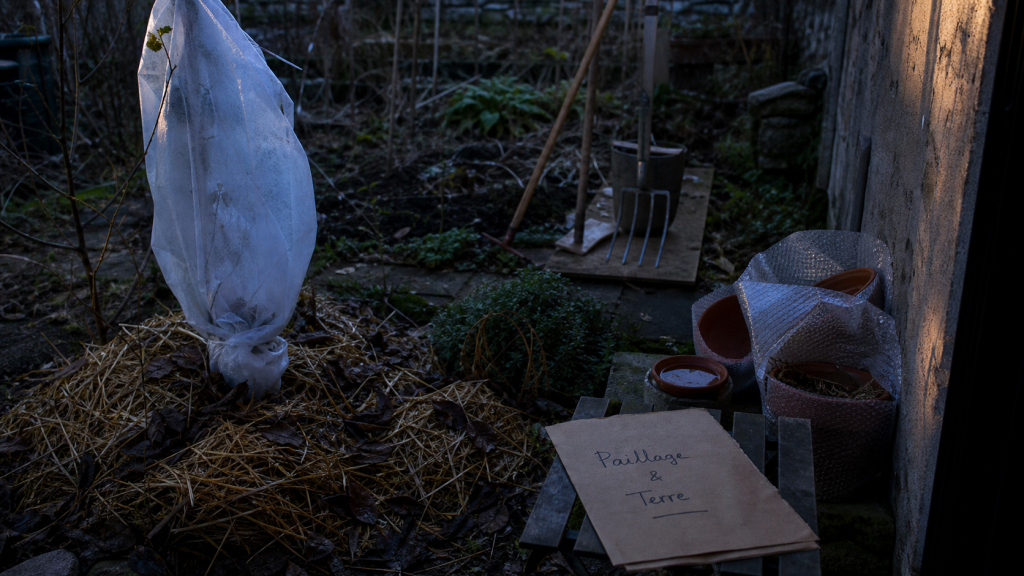 Que faire au jardin en hiver : paillage et voile d’hivernage pour plantes