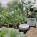 Bicarbonate pour tuer chenilles sur une feuille de salade pulvérisée