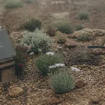 Jardin sec sans entretien : paillage minéral d’automne sur graviers